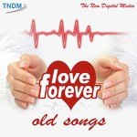 Love Forever - Suman Hemadi Kalyanpur Song Download